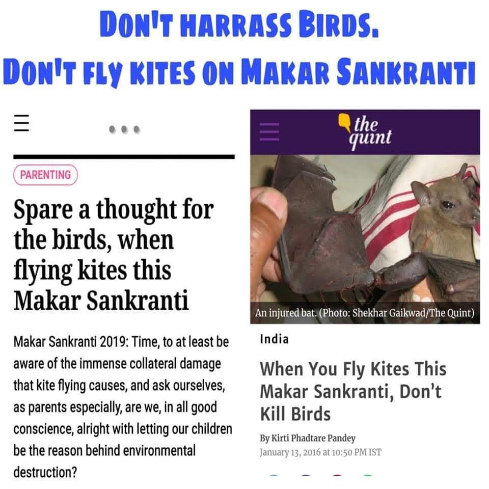 पांचवा त्योहार है मकर संक्रान्ति, इसमें तुम्हारी पतंगों से चिड़ियों की जान चली जाती है भले ही ज्ञान देने वाला कितना भी मुर्गे खाता हो रात को, लेकिन ज्ञान देना बहुत जरूरी है। भाई इतना जरूरी है तो कांच लगे धागे बेचना बंद करवाओ लेकिन नहीं।