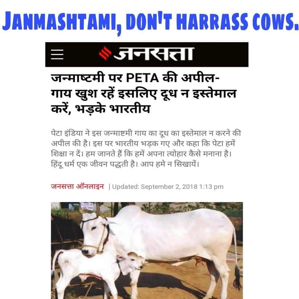 छठा त्योहार है श्री कृष्ण जन्माष्टमी, ऐसे तो बीफ खाने के लिए लाइन लगा देंगे, दंगे करवा देंगे, प्रोटेस्ट करवा देंगे। लेकिन भाई गाय का दुध निकालने से बहुत तकलीफ़ होती है भाई क्या बताएं तुम्हे! मत करो ये सब।