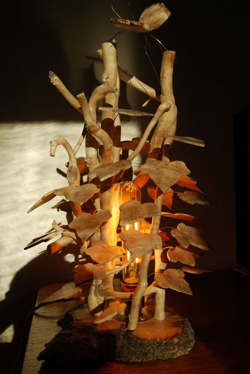 TinyTonyH's tweet photo. Many thanks Andy

I think I am making the right choice, keep me warm whilst making wooden desk lamps https://t.co/uQfr7CyY0W