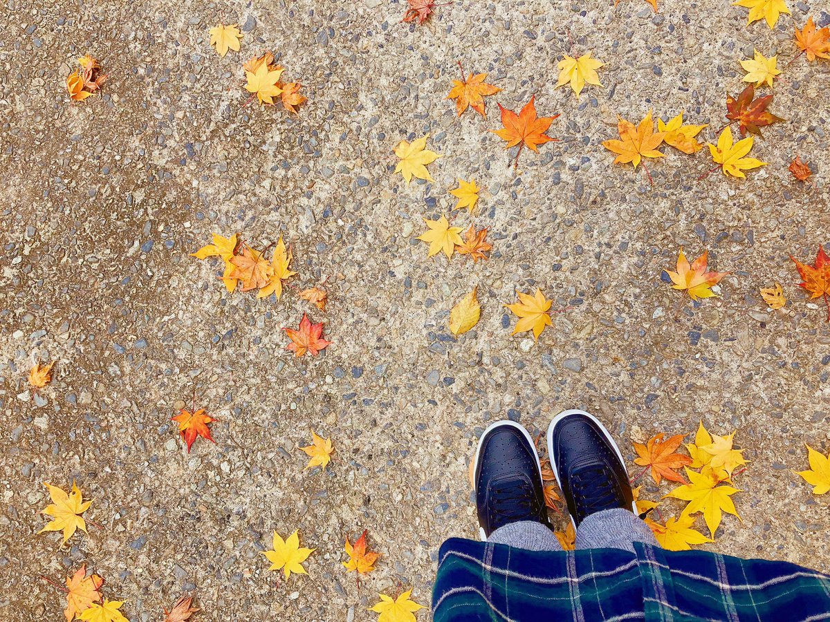 落合達也 Minicoopers1033 Twitter