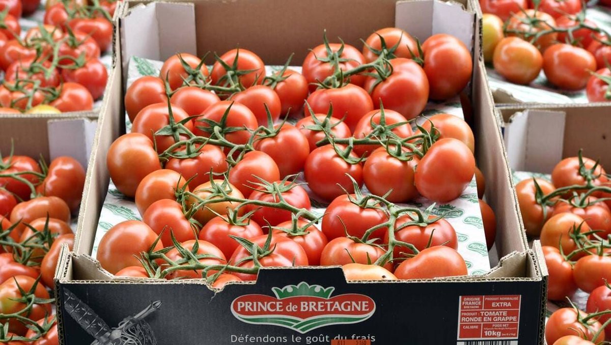 ProtelProjetsFR's tweet photo. Agriculture. La marque Prince de Bretagne va doubler sa production de légumes bio https://t.co/oM7Nc1NIyY https://t.co/04rG1NKK4L