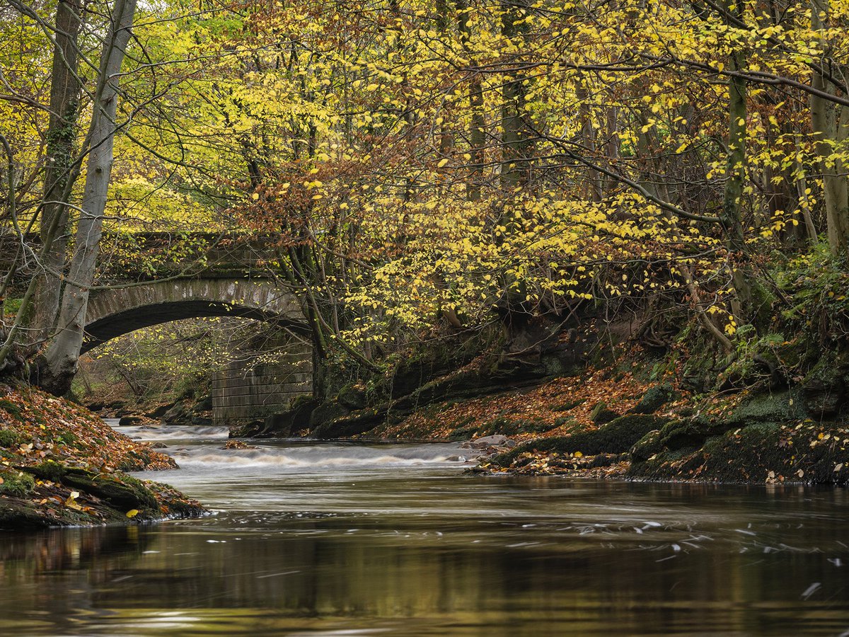 sallyscottages's tweet photo. The perfect picture of autumn colour... Captured over the River Gelt 🍁🍂 🤎 if this scene brings you a moment of happiness today. #Cumbria #autumncolours #autumnvibes #nature https://t.co/CBvWdJGK4s