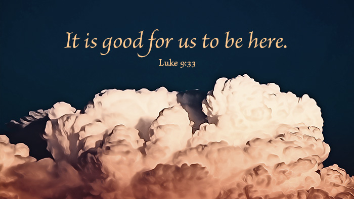 SolaPublishing's tweet photo. Click the link to listen to or read today's Sola Devotion. https://t.co/hq9m5aNbb6

#Bible #Scripture #Christian #Lutheran #Catechism #jigsaw #puzzle https://t.co/ry0GRdKFCg