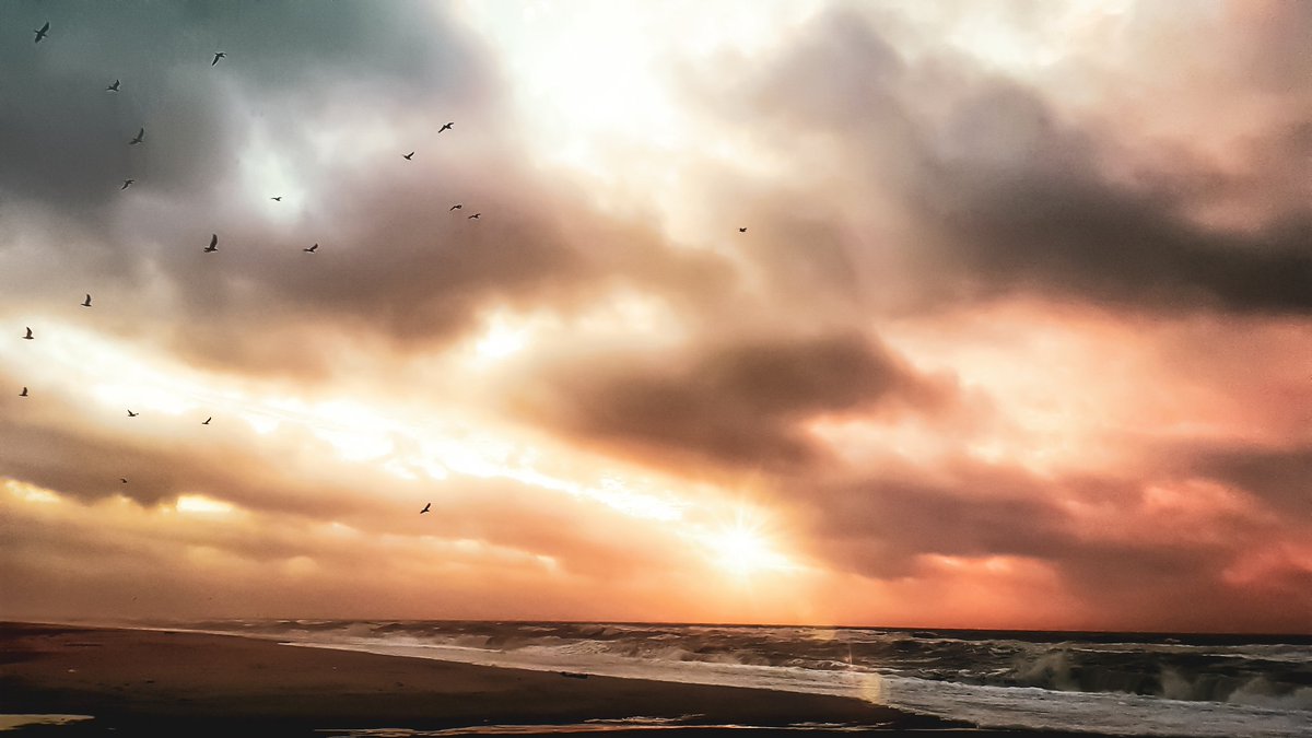 pegcb_de's tweet photo. 🇱🇷[Advertisement]
Yesterday at the ocean was just fantastic.
The wind, the sound of the waves and the taste of salt on your lips.
▫ 
#camper #camperlife #camping #rv #recreationalvehicle #caravanlife #caravan #caravanliving #vanlife #vanlifeger #vanlifegermany▫ 
@GoVisitDenmark https://t.co/A6zPajWRVC