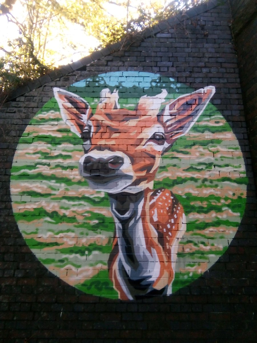The16thChopper's tweet photo. First time out the house in 3 weeks, caught up with the recent #graffoflarge works. #streetart #nature https://t.co/xndAtC8Jyt