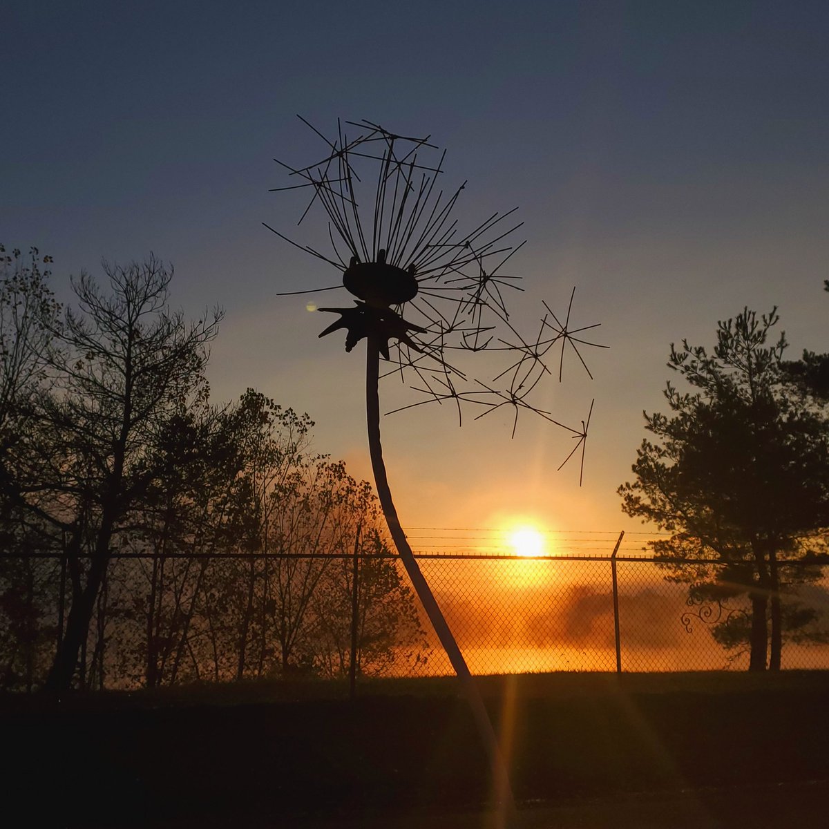 keith55082's tweet photo. #artsharewlucy God morning all , my 7ft tall scrap metal dandelion I made from bicycle spokes and the Ohio  sunrise https://t.co/9Q5mtBs53A