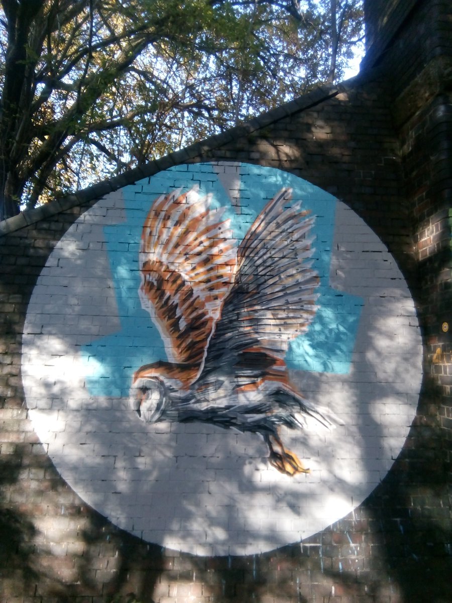The16thChopper's tweet photo. First time out the house in 3 weeks, caught up with the recent #graffoflarge works. #streetart #nature https://t.co/xndAtC8Jyt