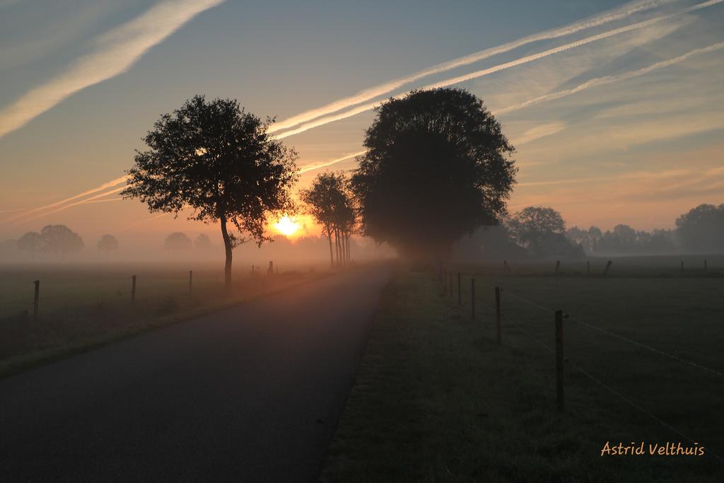 MooiLosser's tweet photo. Wat een prachtige start van de dag met #mist #zon en #ochtendrood in onze #schatkamervantwente #Losser! #wandelen #fietsen #dichtbijhuis #gepasteafstand #Overdinkel #natuur #platteland @visitoost @TiDeLutteLosser @NUnl @Weerplaza @Talpaweer @LandschapOV https://t.co/EIr3OQauCi