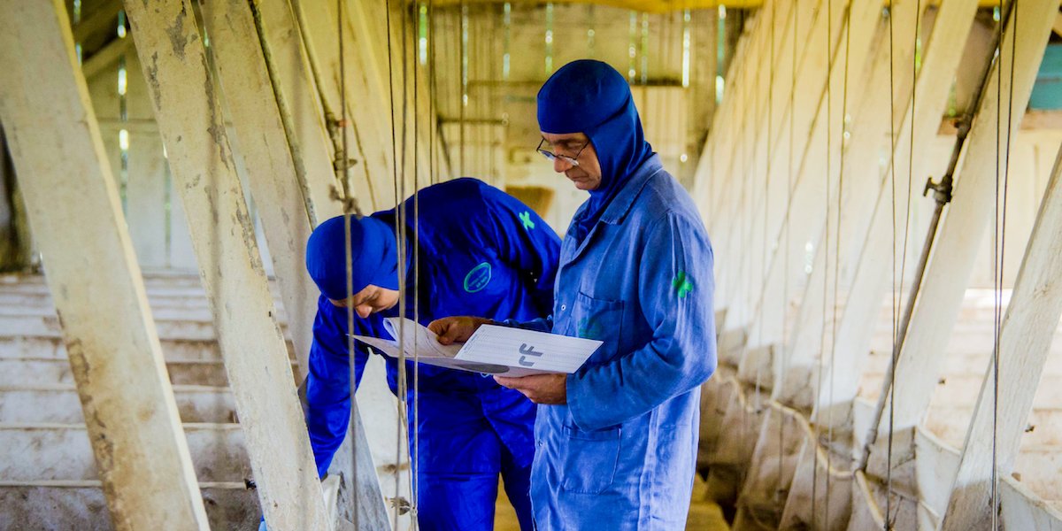 World Organisation for Animal Health tweet media