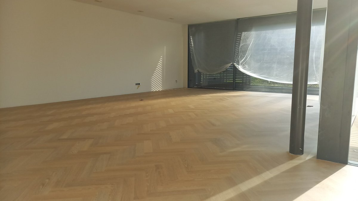 ReflectionZeist's tweet image. Visual of echt?