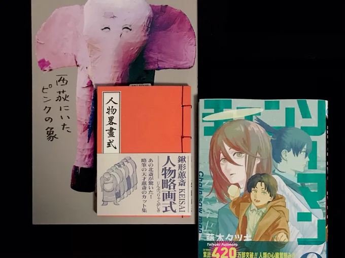 キグルデーになってしまったので本を色々買いました 