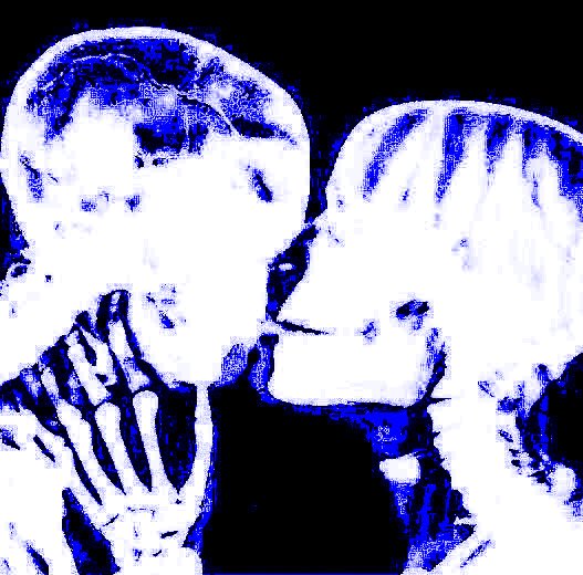 ᚕ ᱸ 𓈒 ᵼ 𝕭-d̷own ⁺ 𓎆𓈒 ᚋ 재현 ╺ 🔵 97 י 𓈒 † ลฟตท 𓎆 𓈒 ⤬