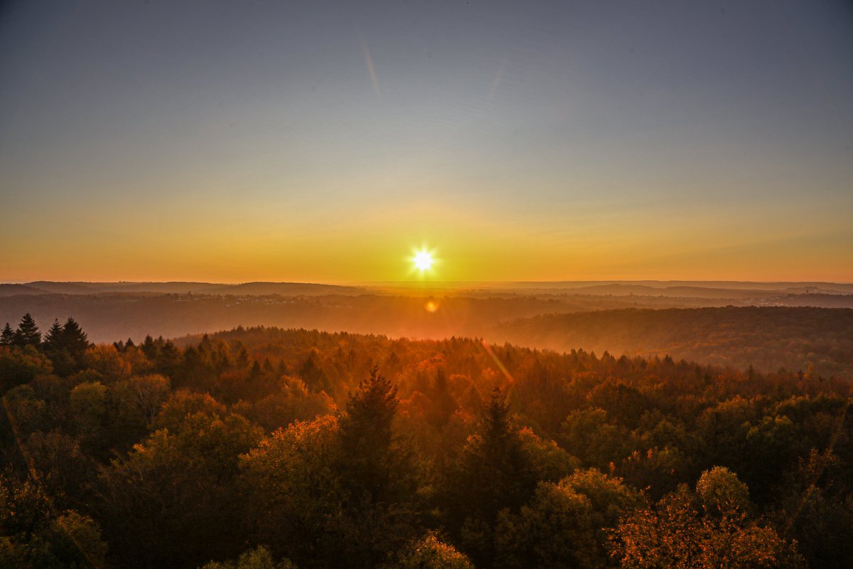 Herrlicher Tagesbeginn - hier der Blick über den Stadtwald Saarbrücken (wt)