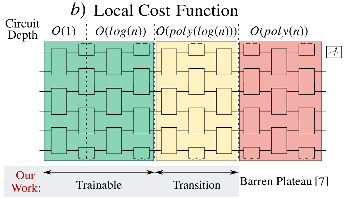 At each layer of the QCNN, half of the qubits are discarded (pooling layer), limiting the number of layers to log(n). And it was shown in ( https://arxiv.org/abs/2001.00550&nbsp;) that for a local cost function (as in the QCNN), the Hardware Efficient Ansatz with log(n) layers has no BP 5/N
