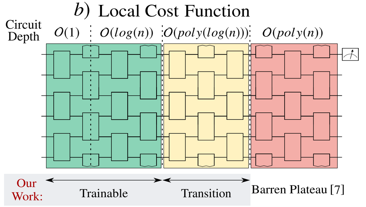 At each layer of the QCNN, half of the qubits are discarded (pooling layer), limiting the number of layers to log(n). And it was shown in ( https://arxiv.org/abs/2001.00550 ) that for a local cost function (as in the QCNN), the Hardware Efficient Ansatz with log(n) layers has no BP 5/N