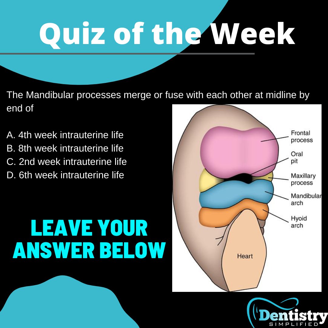 Dent_Simplified's tweet photo. The Mandibular processes merge or fuse with each other at the midline by the end of 

A.4th week intrauterine life 
B.8th week intrauterine life 
C.2nd week intrauterine life 
D.6th week intrauterine life

#Dentistrty
#Dental_Education
#Test_your_Knowledge https://t.co/vkERVD8BLa