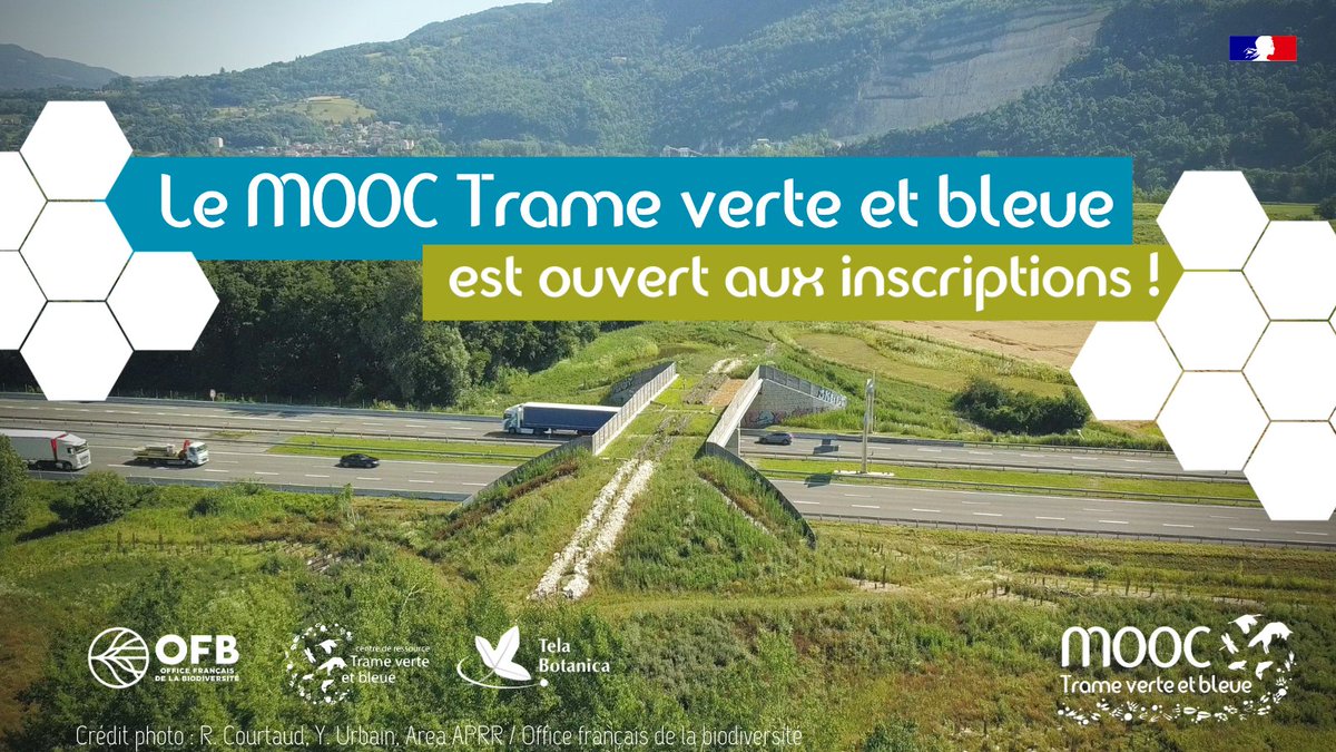 [Mooc] Vous voulez en savoir plus sur la Trame verte et bleue ? Comprendre comment agir pour préserver et remettre en état les continuités écologiques ? 🦔🐾🦌🦋🐸 Inscrivez-vous au Mooc TVB @CentreTVB <a href="/OFBiodiversite/">Office français de la biodiversité</a>, c'est gratuit !
▶️ Plus d'infos ici : bit.ly/MOOCTVB