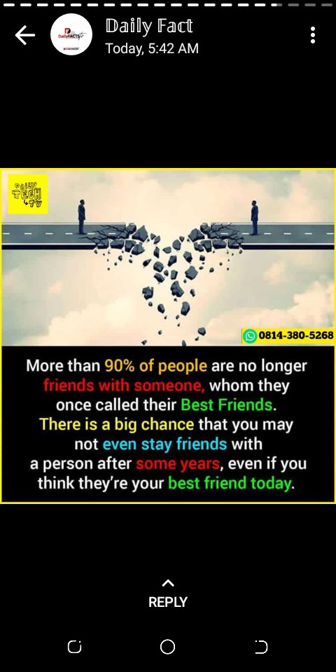 whoisayo tweet media