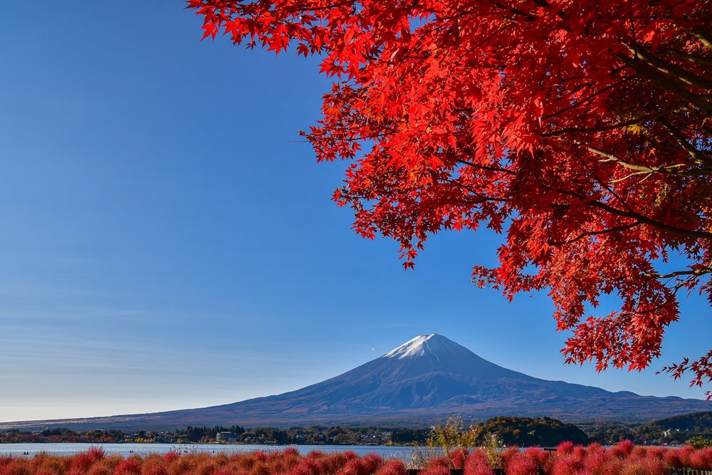 Japatabi 昨日の軽井沢雲場池と 一昨日の山中湖 河口湖の紅葉の様子です 軽井沢詳細 T Co Bl3qxg6dis 山中湖 河口湖詳細 T Co Yl0agnc2kd 紅葉見頃 紅葉 紅葉風景 紅葉探し 紅葉探し 軽井沢 雲場池 河口湖 山中湖 Japatabi 昨日の軽井沢雲場池と 一昨日の山中湖 河口湖の紅葉の様子です 軽井沢詳細 T Co Bl3qxg6dis 山中湖 河口湖詳細 T Co Yl0agnc2kd 紅葉見頃 紅葉 紅葉風景 紅葉探し 紅葉探し 軽井沢 雲場池 河口湖 山中湖