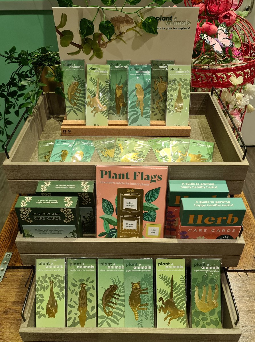 Eclectic Hound (@eclectichound) on Twitter photo Lots of #EthicalGifts for #PlantLovers & #PlantKillers
View our <a href="/AnotherStudio_/">Another Studio</a> collection online with free delivery. Click & Collect also available.
eclectichound.co.uk/collections/pl…
🪴
🪴
#PlantAnimals #CareCards #ChristmasGiftIdeas #WinchesterIndependents #ShopIndie #HelloWinchester Lots of #EthicalGifts for #PlantLovers & #PlantKillers
View our <a href="/AnotherStudio_/">Another Studio</a> collection online with free delivery. Click & Collect also available.
eclectichound.co.uk/collections/pl…
🪴
🪴
#PlantAnimals #CareCards #ChristmasGiftIdeas #WinchesterIndependents #ShopIndie #HelloWinchester