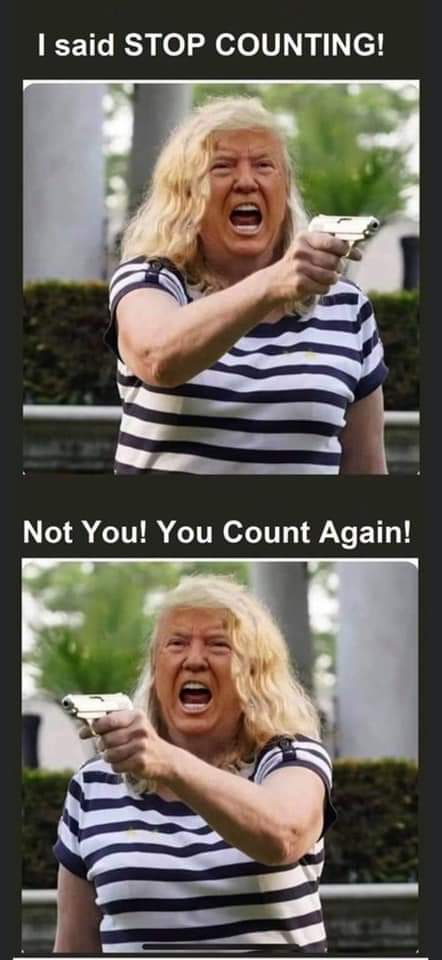 ThiomargaritaNA's tweet photo. I'm loving the memes coming out of this election. https://t.co/rcsh7108n0
