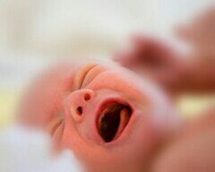 HomeopathyPlus's tweet photo. Homeopathy Helps Infant Colic.
Homeopathy helps the intensely irritable baby who only settles when carried, the one whose colic is better for pressure on the tummy, and the one that settles after passing wind.
https://t.co/4U3BcjY8Tb
https://t.co/oirxxmFY8f⠀
#colic #InfantColic https://t.co/hpm3BDSzai