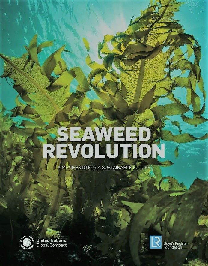 Doumeizel's tweet photo. Voicing our #seaweedmanifesto this month, talks in Korea then Shanghai at #CIFSQ, largest Food Safety conference in Asia, Germany for @PlasticFreeExpo + BioEconomy Summit (#GBS2020) and Dubai for @foodsafetydubai 
Join our @globalcompact @CNRS &amp; @LR_Foundation #Seaweed #Coalition https://t.co/x4tjwWut7s