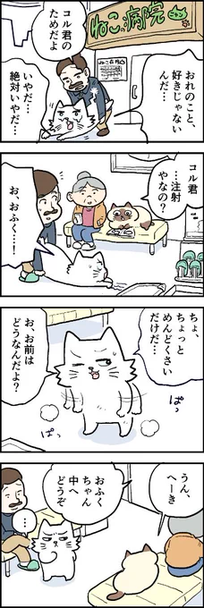 注射が苦手なコルくん。おふくちゃんは平気そうだけど……?第89話「コルくんと注射」はこちらから⇒( )『猫のおふくちゃん』の最新話は毎週金曜日に連載中!#猫のおふくちゃんRead more 