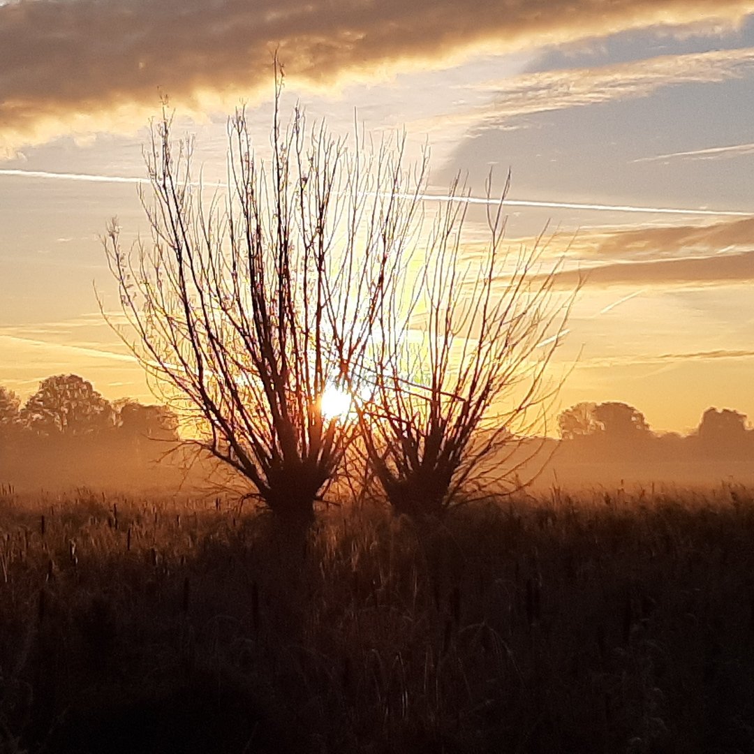 FrenkLardinois's tweet photo. Zonsopkomst in natuurgebied Rodebeek/Rodebach
#zonsopkomst @magnifiekZL #rodebeek https://t.co/bZwFr90WbS