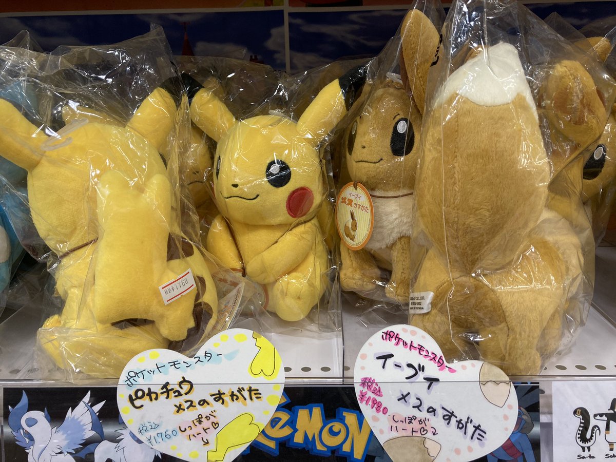 アニメイト渋谷 短縮営業中 Twitterissa アニシブ入荷 ポケットモンスター ピカチュウ イーブイ メスのすがた しっぽがハートになった ピカチュウ と イーブイ の可愛らしいぬいぐるみが登場シブ ぜひご覧下さいませ