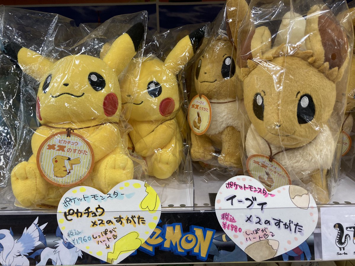 アニメイト渋谷 短縮営業中 Twitterissa アニシブ入荷 ポケットモンスター ピカチュウ イーブイ メスのすがた しっぽがハートになった ピカチュウ と イーブイ の可愛らしいぬいぐるみが登場シブ ぜひご覧下さいませ