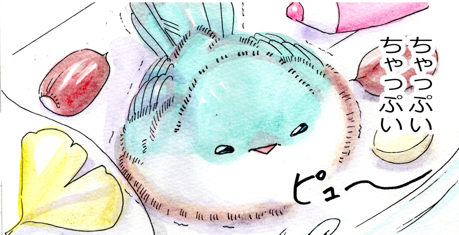 ちゃっぷいちゃっぷい
#みどりのマメちゃん 