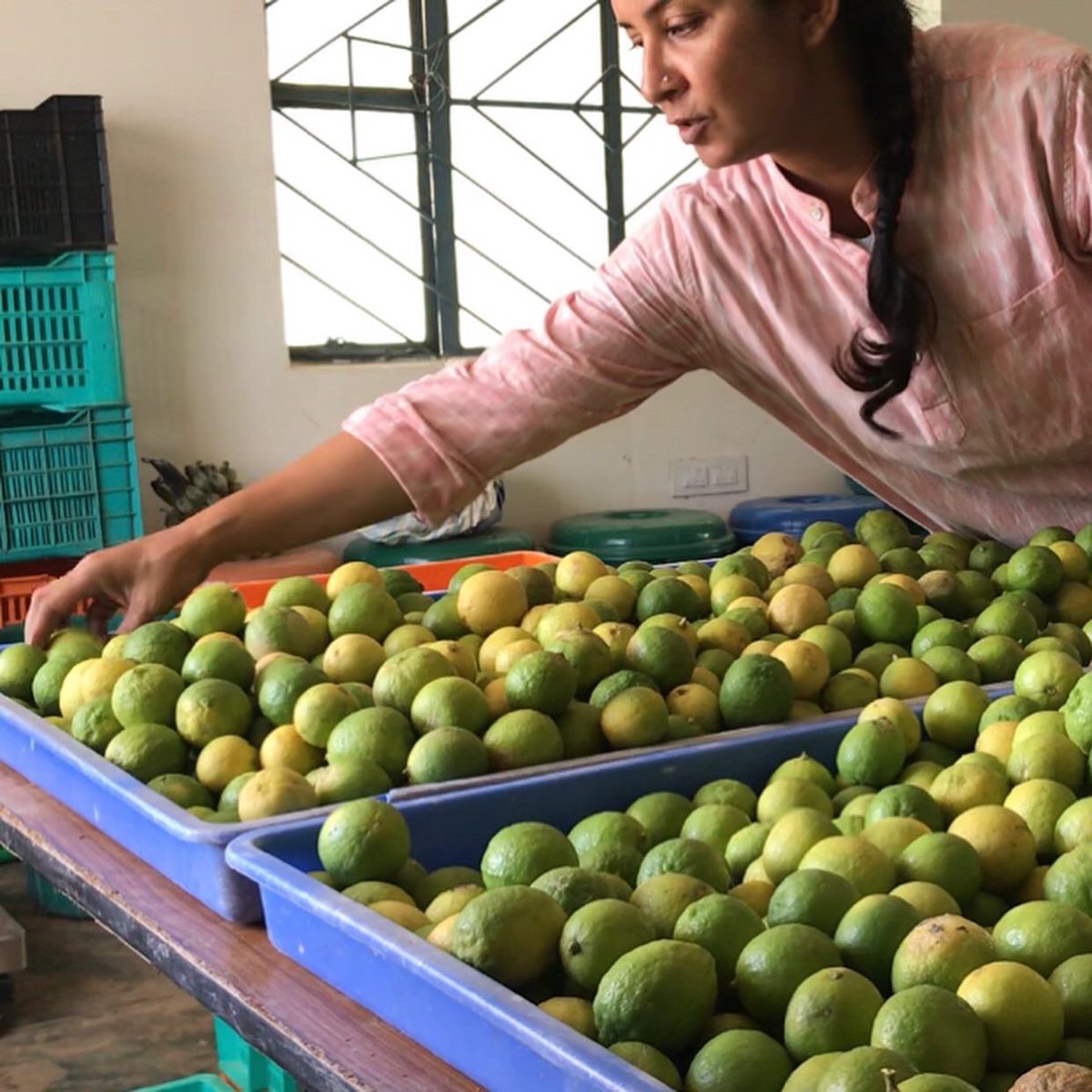 FreshHarvestIND's tweet photo. Absolutely gorgeous day at the farm today as we sort and pack produce for customers in #Bangalore. Blue skies, lovely views and the new vegetable sections are also soaking up the sun.....

#KhetSe
#freshharvest 
#multicropping 
#farmtotable 
#naturalfarming 
#biodiversefarming https://t.co/0ejYVbfffW
