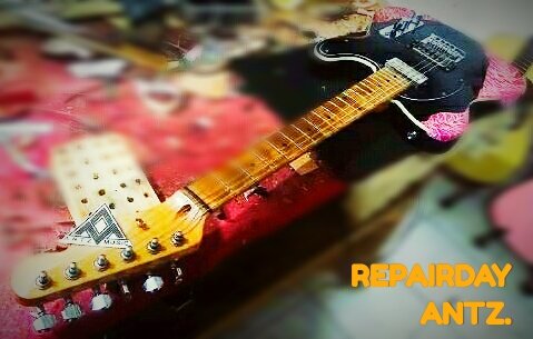 ANTZ MUSIC tweet media