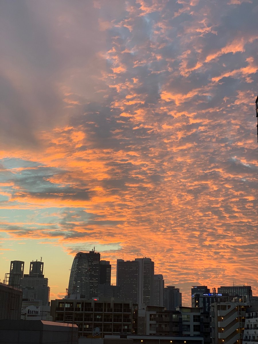 Jojozoey1's tweet photo. #鱗雲不思議
#鱗雲東京
#都心鱗雲
#東京ウロコ雲
#夕焼け
#綺麗な景色
#美しい夕焼け
#綺麗夕焼け
#sunsets
#sunsetTokyo
#beautifulAtmosphere
#beautifulsky
#happyforyou
#tokyoToday
#NovemberFalls20
#NovemberWithLove
#photograghy
#東京カメラ部
#Tokyophotograghy
💖💕✨✨✨✨✨😍 https://t.co/SZRz8XsPVw