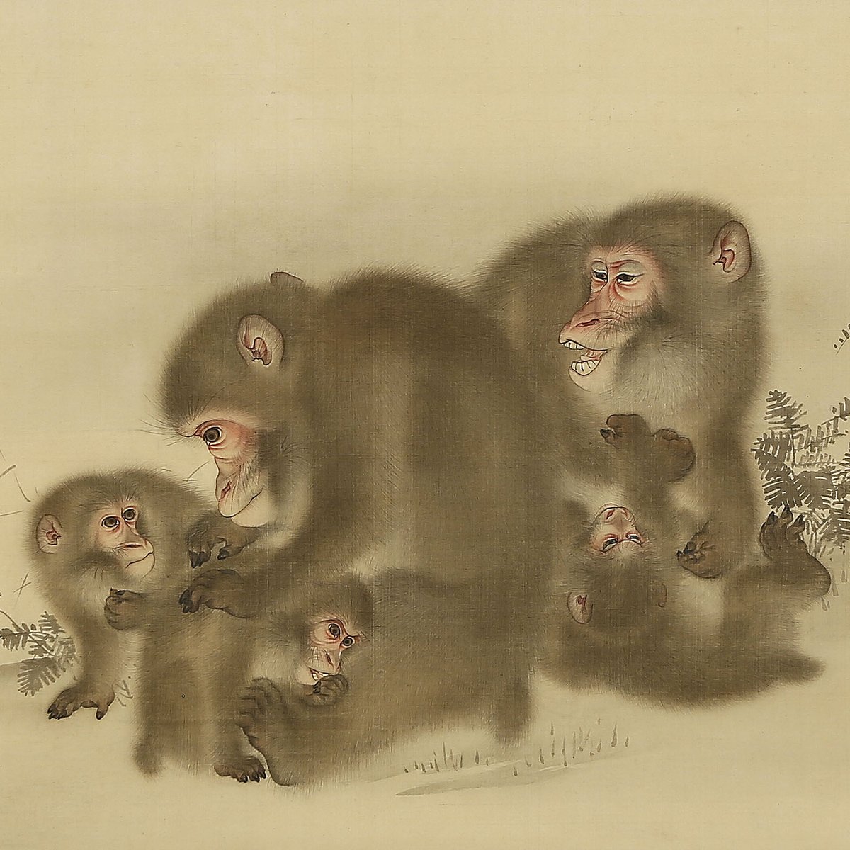 新古美術 わたなべ こちらは 長崎出身の画家 森狙仙 1749 11 の 五猿之図 です 動物画を得意とし 中でも猿の絵を多く描きました 日本美術 森祖仙 森狙仙 円山派 四条派 Japaneseart Hangingscroll Morisosen T Co V1wesizkj2 新古美術 わたなべ こちらは 長崎出身の画家 森狙仙 1749 11 の 五猿之図 です 動物画を得意とし 中でも猿の絵を多く描きました 日本美術 森祖仙 森狙仙 円山派 四条派 Japaneseart Hangingscroll Morisosen T Co V1wesizkj2
