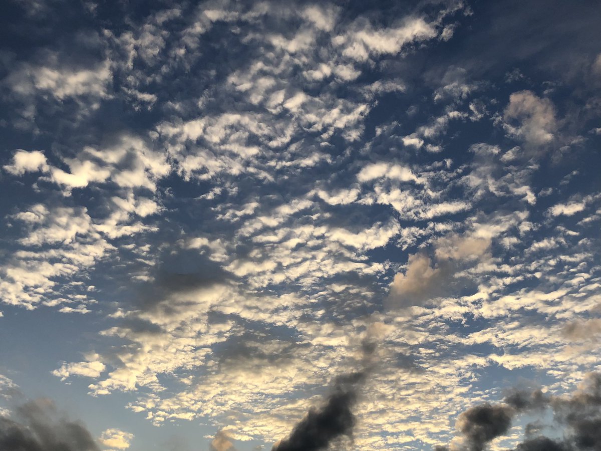 見上げた空が素敵でした ひつじ雲 うろこ雲 いわし雲 名称は分かりませんが 秋によく見る形です 日の出 雲 夕焼けなど 空を見るのが昔から好きでしたね 子供の頃 雷雨の時 稲光見るために 窓に張り付いてました そんなことを思い出した 明日以降の予約が