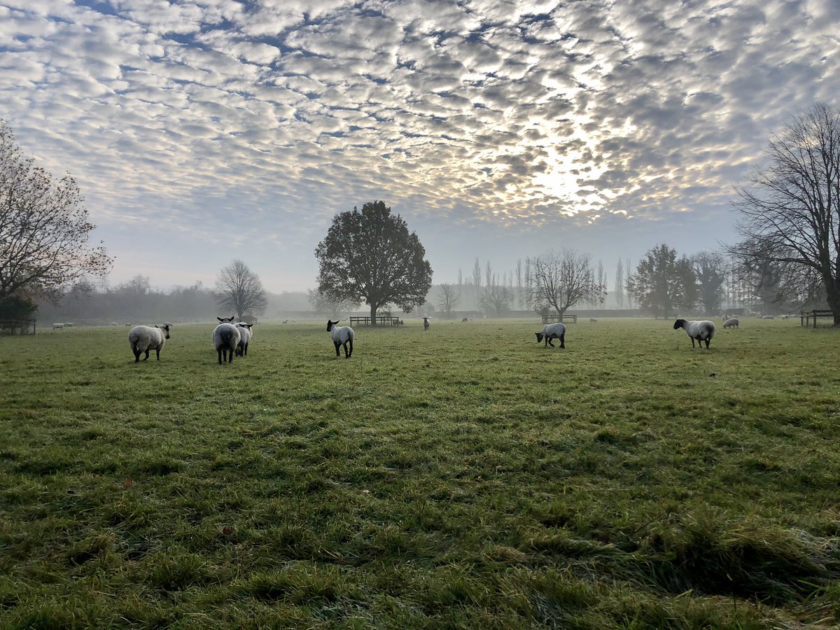 Nurture_Consult's tweet photo. We said this morning the sky looked like someone had painted it. Definitely a morning to #bemindful - nurture the people and appreciate the places that surround us. Happy Friday everyone! https://t.co/k2qzVAMf1p