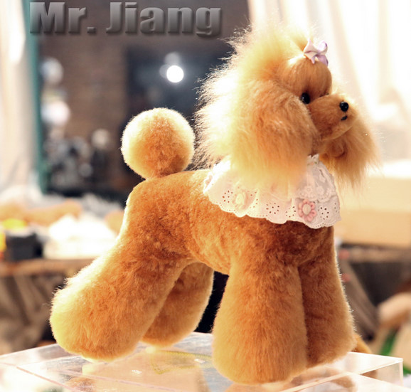 実演販売師 田村昌和 出品中 詳細はコチラ T Co 56gncygk6r トリミング トリミング練習 トリマー ウイッグ モデルドッグ マネキン カットマネキン メルカリ 犬 プードル 美容院 トイプードル