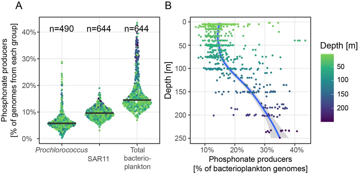 We also found that phosphonate producers increased with increasing depth in metagenomes - peaking near the DCM and what has been termed the "genomic transition zone."