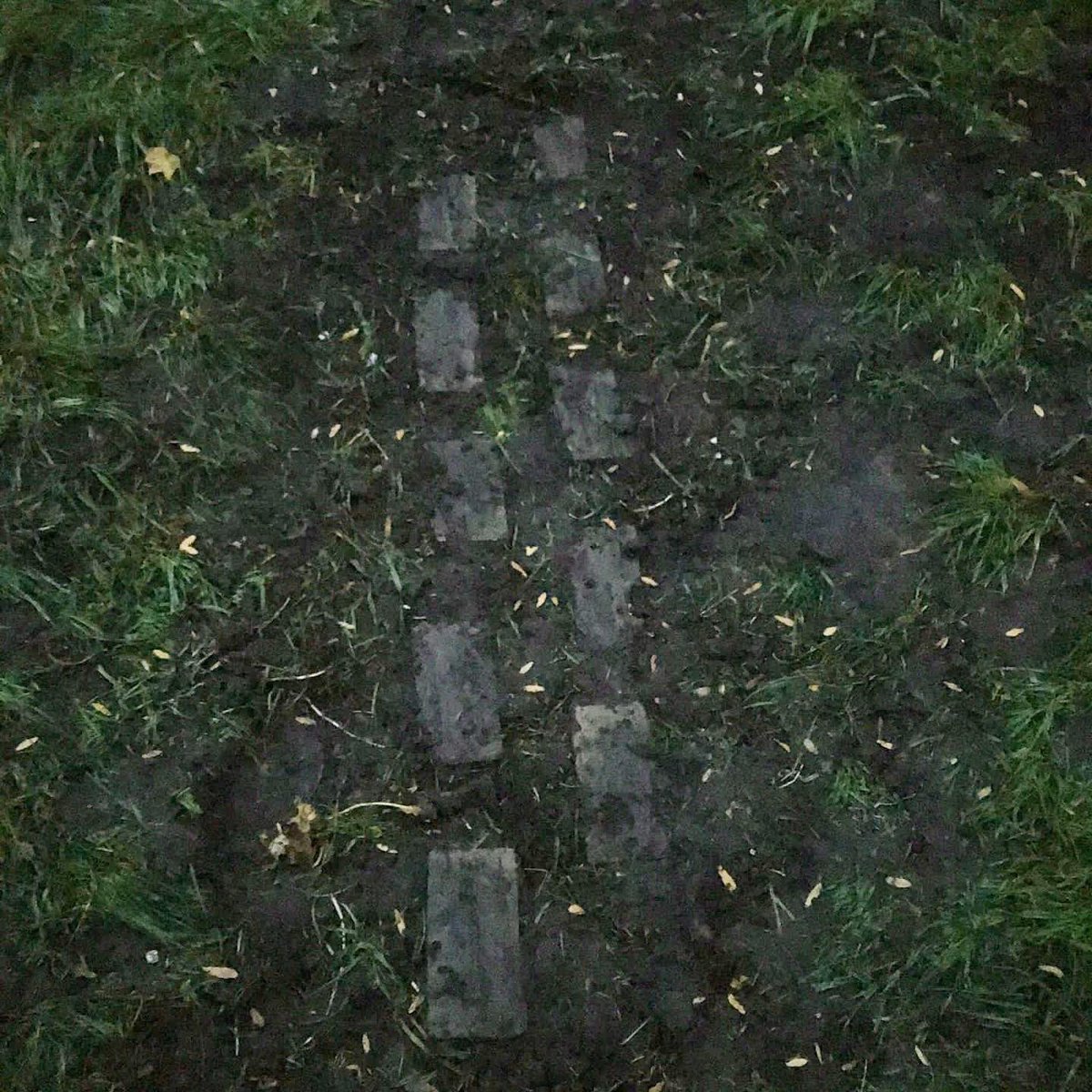 dartnell_park's tweet photo. First steps on the Yellow Brick Road and the start of a scented path - a line of lavenders 💜💛 #croydon #GreenRecovery https://t.co/q8RyeTF23s