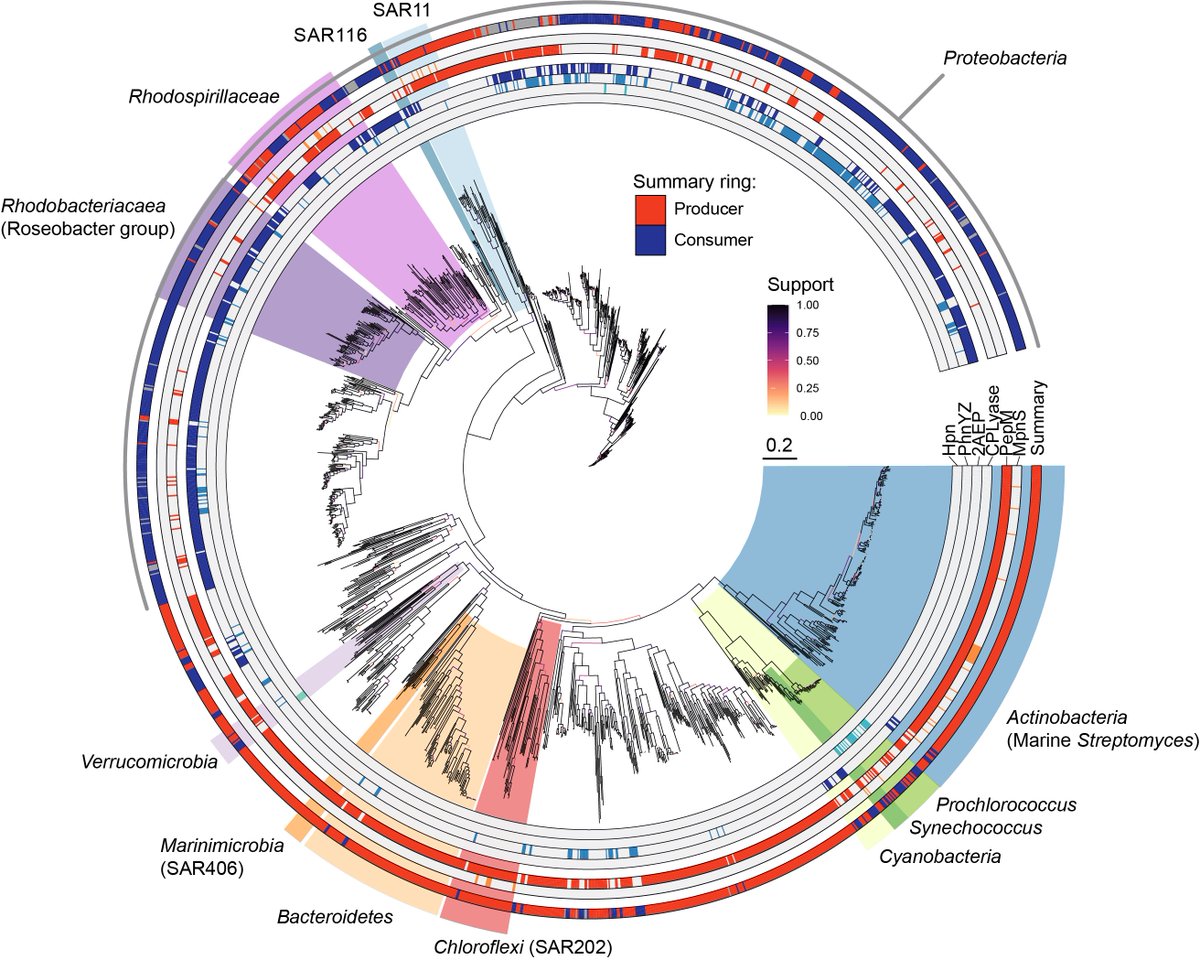 In fact, effectively no marine phosphonate producing genomes have the genes required to break C-P bonds. So if you are a phosphonate producer in the ocean it is unclear how you could get your P back from phosphonates once it is locked away in these compounds.