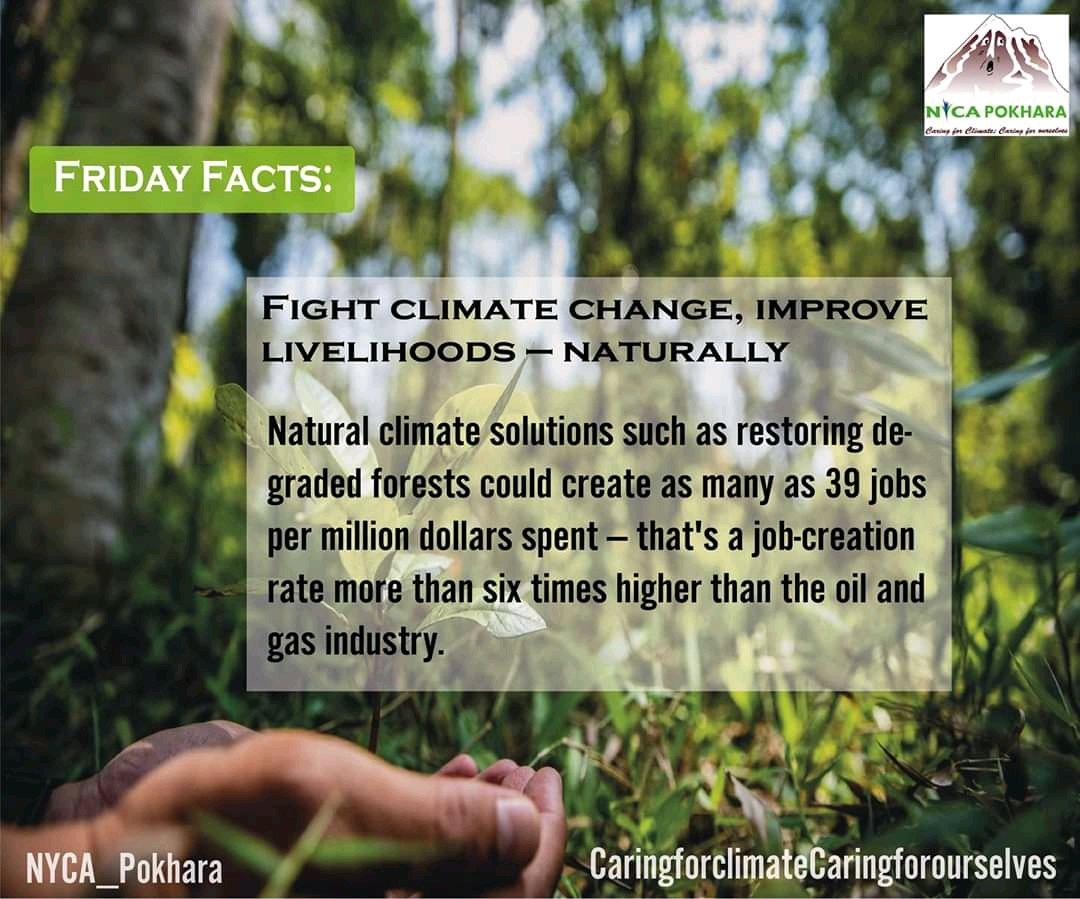 #fridayfacts
#NYCA
#togetherforclimate
#yeswecan