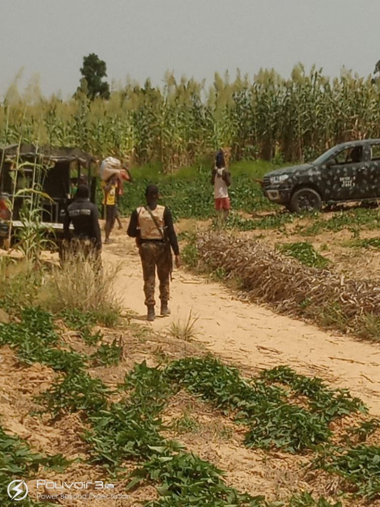 DejiAdesogan's tweet photo. Local farmers in #Faskari LGA said the ongoing military operation in the area has gradually dislodged some notorious bandits from their hideouts thereby denying d criminal elements the freedom of action & also giving hope to d people to go back to their normal lives. #SecureNorth https://t.co/6d1iKQWCOf
