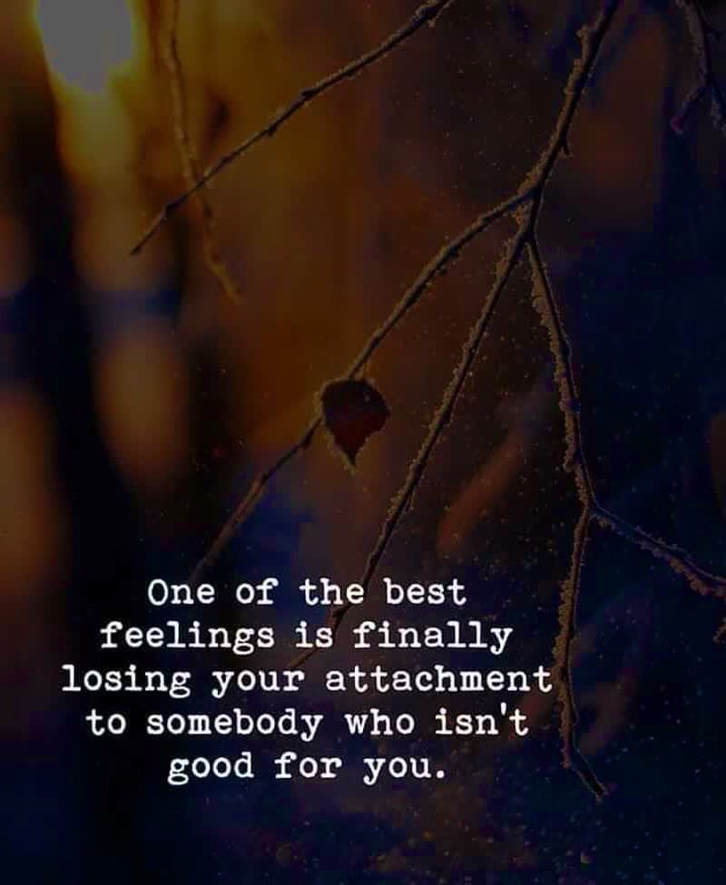 kristin_smith77's tweet photo. #LettingGoIsFreedom #LovingMeMore #StrongerThanBefore #BeTheGood https://t.co/ukkmknz5CX
