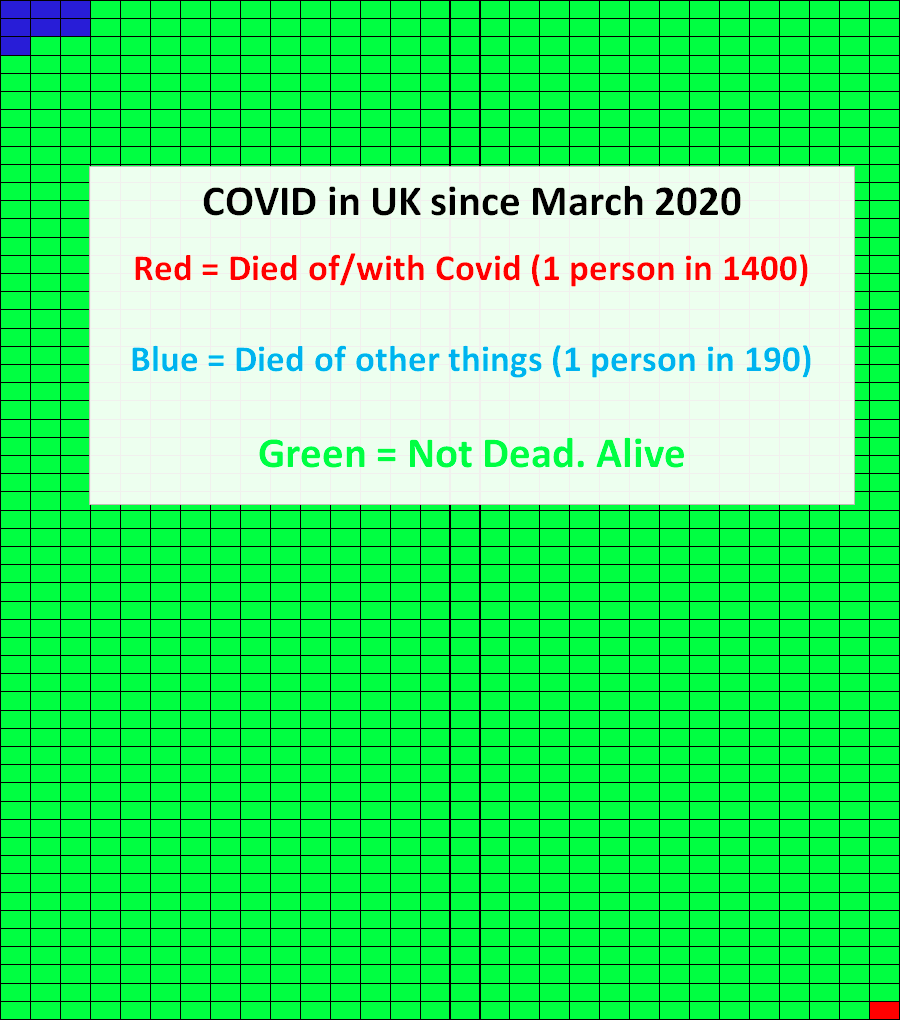 latimeralder's tweet photo. After nearly 8 months of Covidopanic, surely even the most Covidophobic LockDownistas must have noticed how few of their friends, neighbours and relatives have died with it?

Over seven times as many have died of other things https://t.co/yz2oUFE8yz