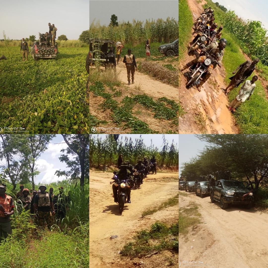 EbituPromise's tweet photo. I’ve seen photos of Farmers in #Faskari, #Dandume, #Safana LGA’s of #Katsina State begins harvest of their farm produce such as millet, soya beans & rice. Locals reportedly praise the Nigerian Army troops of Operation Sahel Sanity for providing farm security patrols. https://t.co/pJLraLOgTE