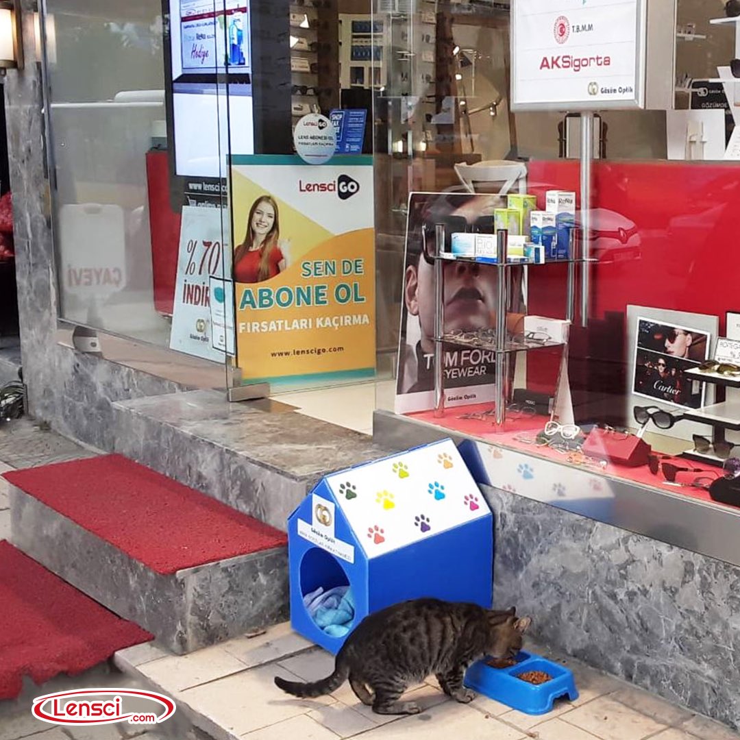 Cadde mağazalarımızın, en yakın komşusu ‘’minik dostlarımızın” evi 🐱🐾
Minik dostlarımız cadde mağazalarımızın önlerinde bizimle 🤍 

#lensci #lenscicom #kedi #kedievi