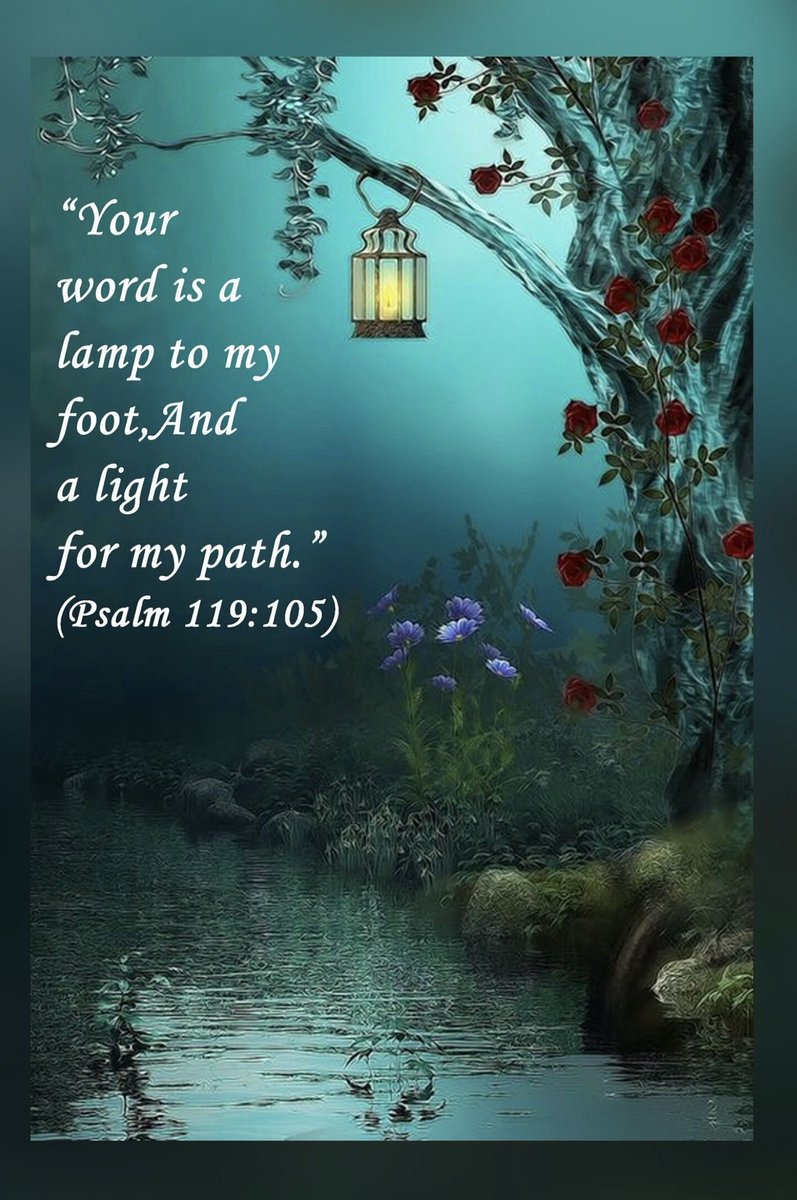 eden77722's tweet photo. As long as you walk with the word you will never walk in darkness https://t.co/XwG5pOxo9G