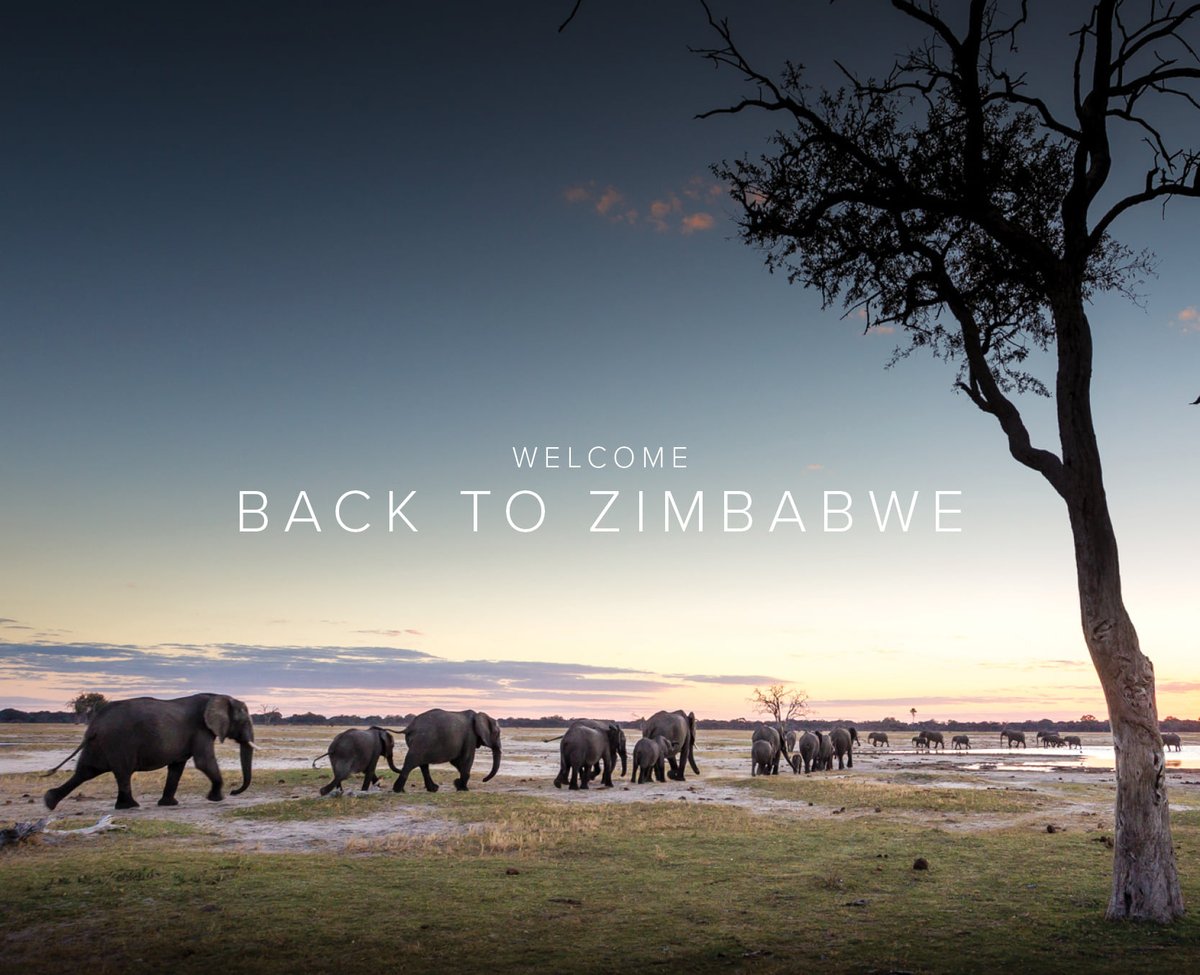 WeAreWilderness's tweet photo. The countdown has begun... From 15 December #Linkwasha and #Davison's will be welcoming guests from all over the world into our beautiful concessions in #Hwange. Welcome back #Zimbabwe!
#WeAreWilderness #WildernessStrong https://t.co/x56S77VoKX
